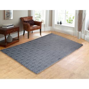 https://assets.wfcdn.com/im/20997734/resize-h310-w310%5Ecompr-r85/3817/38177335/Polyester+Gray+Rug.jpg