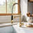 Topcraft  Single Handle Single Hole Pull Down Kitchen Sink Faucet
