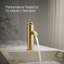Robinet de lavabo de salle de bain monocommande Composants-96096568