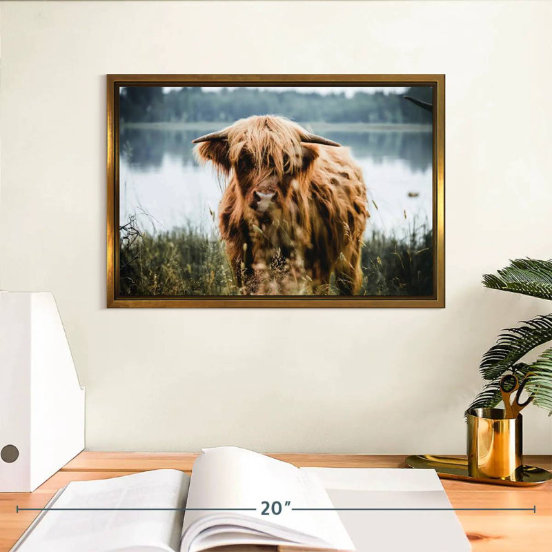 Vache Lakeside Highland, Cadre flottant doré, 13 po x 9 po