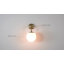 Ontario 1-Light Wall Light