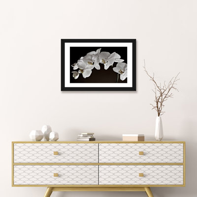 " Orchids "