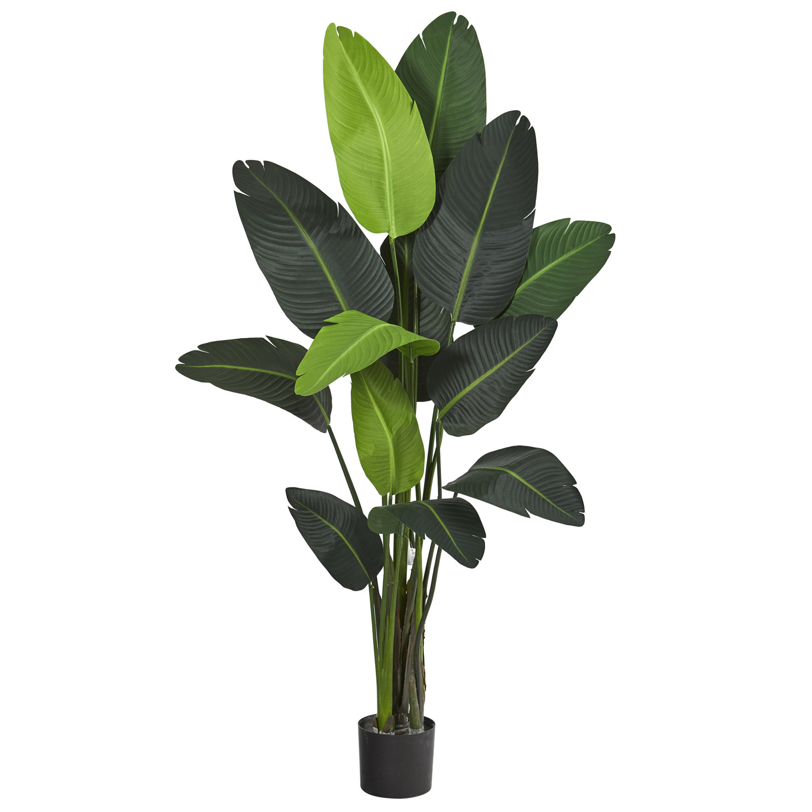 Faux Banana Leaf Tree in Pot Liner, 69" H x 32" W x 26" D