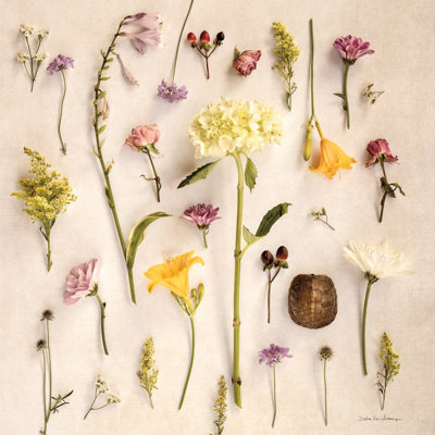 Cottage Flora II sur impression sur toile