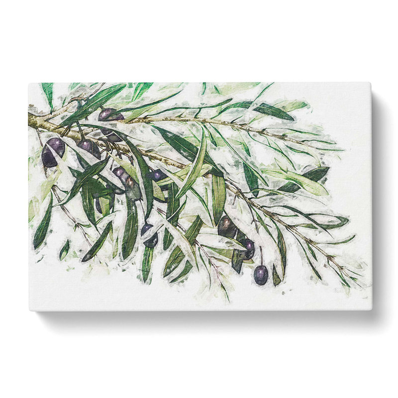 The Olive Branch - Wrapped Canvas Painting, 35cm H x 50cm W x 3cm D