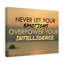 Never Let Your Emotions Motivational 1 Piece Wrapped Canvas Wall Art-731154232