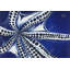 Pieuvre nageuse - impression contemporaine mate encadrée bleue-163852474-163852454