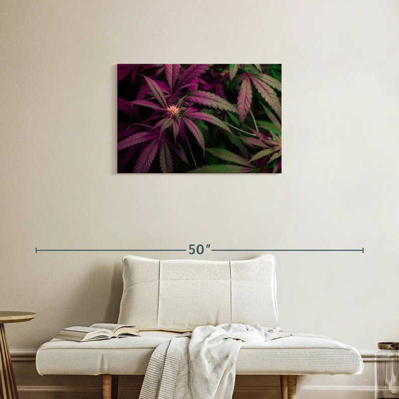 Lavande, marijuana, H 20 po x l 30 po