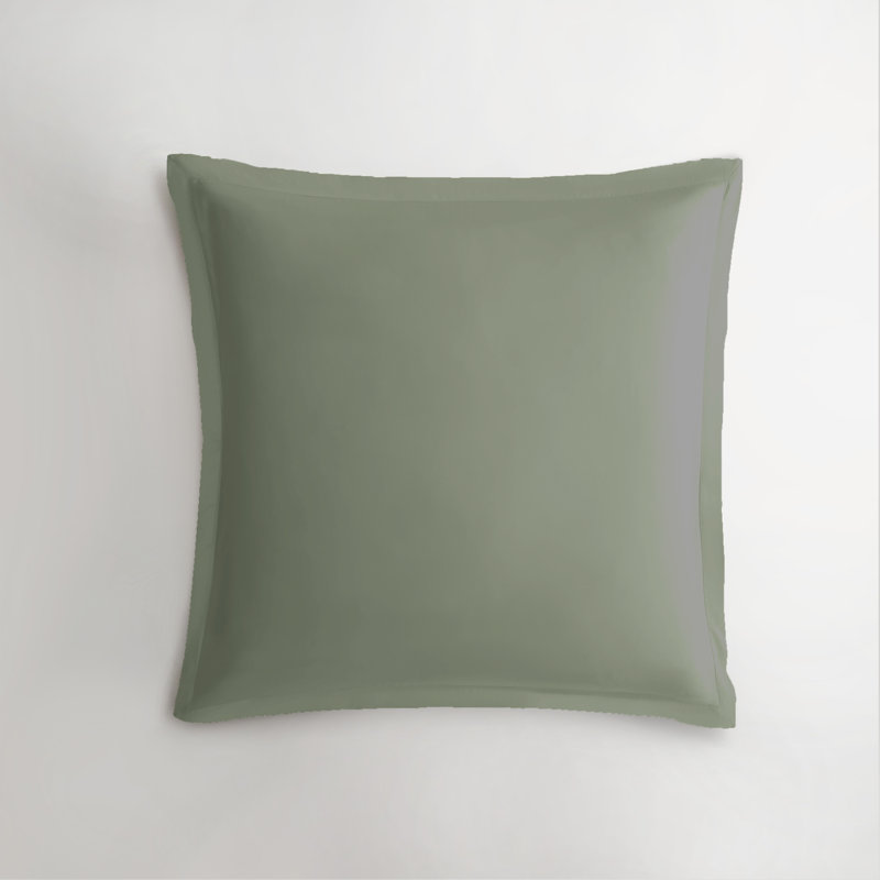Standard Cotton Sateen Euro Sham, Meadow