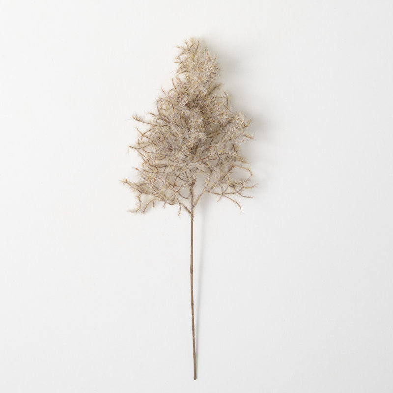 Tiges Bartlett Cotinus, Brun