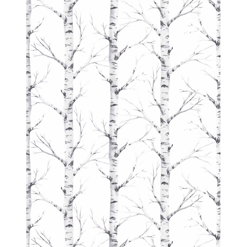 7m x 75cm Matte Birch Tree Wallpaper Roll