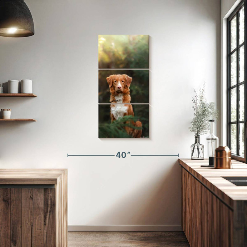 Chien retriever dans la forêt, H 38 po x l 18 po