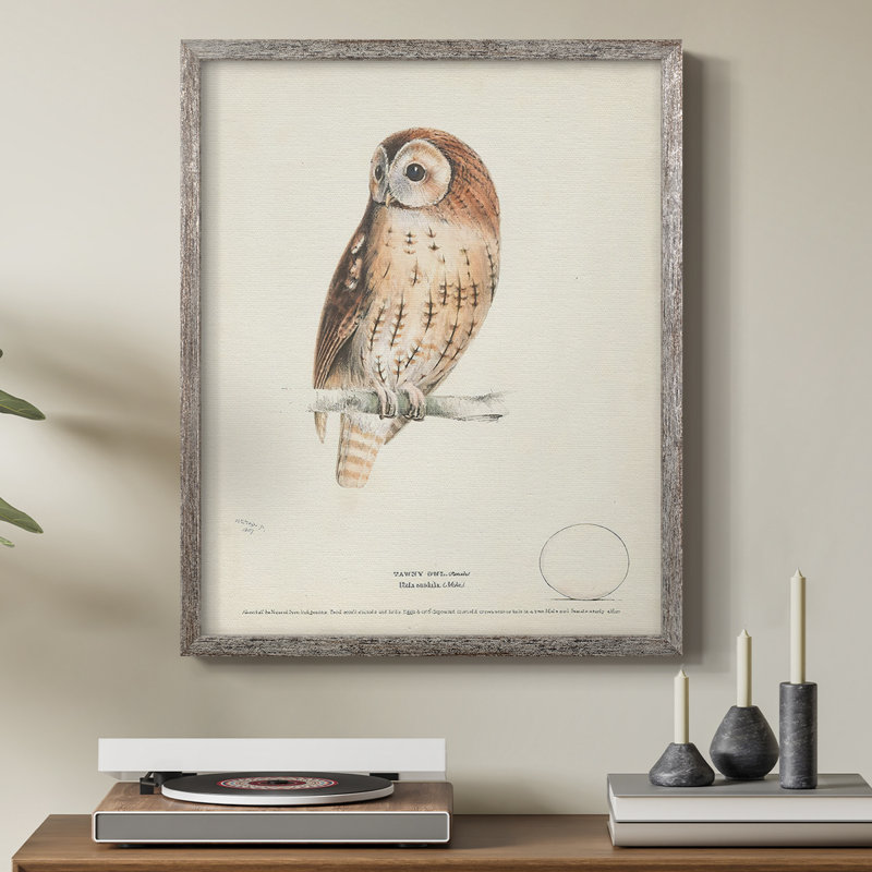 Tawny Owl Framed Print - Solid Wood, 11" H x 9" W