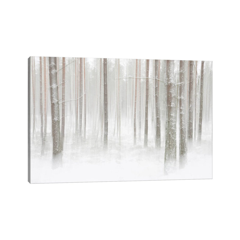 Winterforest In Sweden by Christian Lindsten - Wrapped Canvas Print, 30.48 cm H x 45.72 cm W