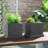 Ignazia Pot Planter