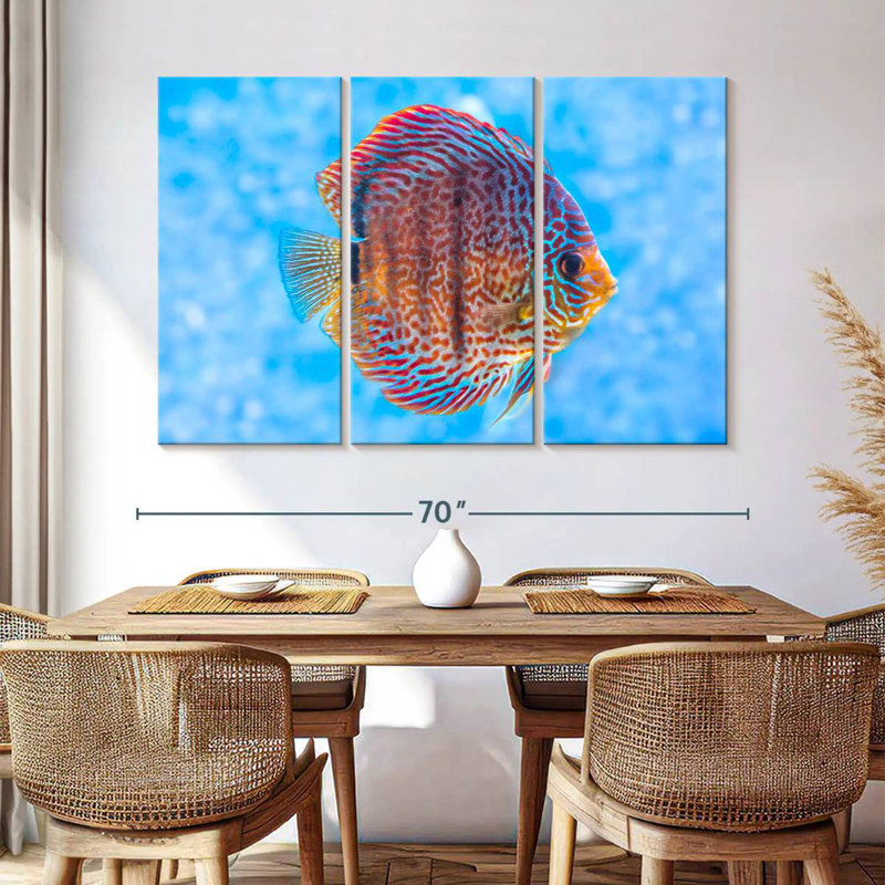 Brampt Freshwater Discus Fish, 42" H x 65" W