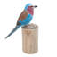 Novica Handmade The Eastern Bluebird Wood Statuette
