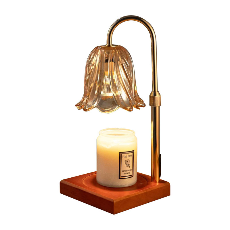 Chauffe-bougie à intensité variable avec minuterie pour bocal, chauffe-cire, 2 ampoules, cadeau d'anniversaire, maman et pendaison de crémaillère