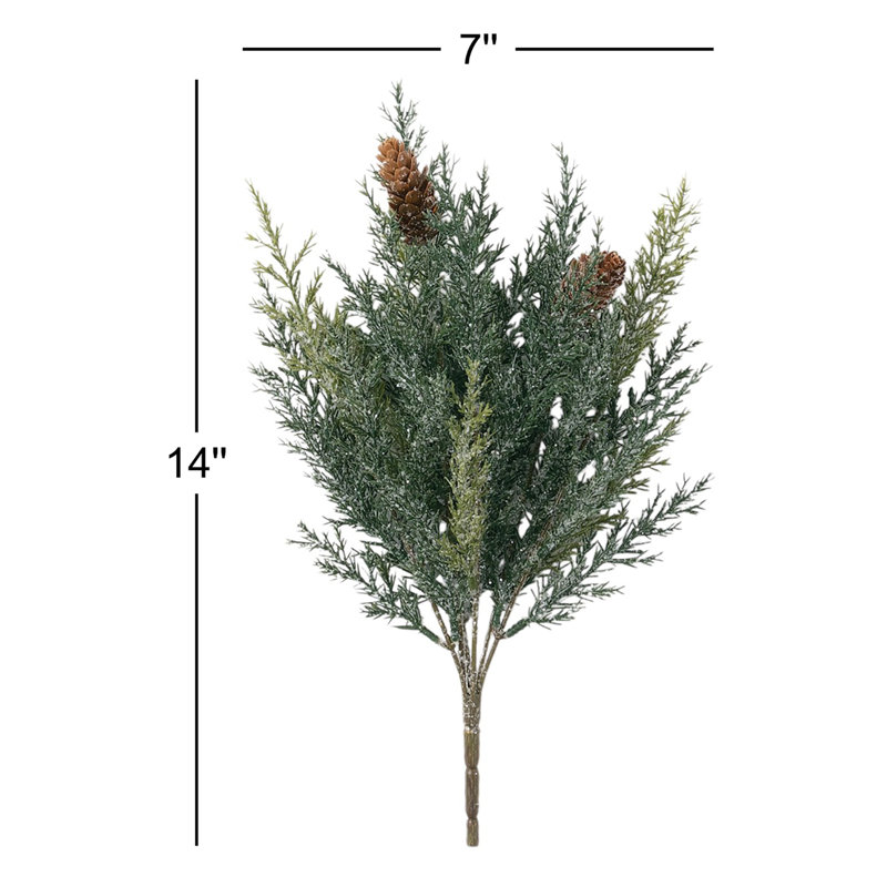 Frosted Arborvitae Bushes