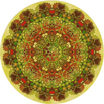 Performance Wool Indoor Rug