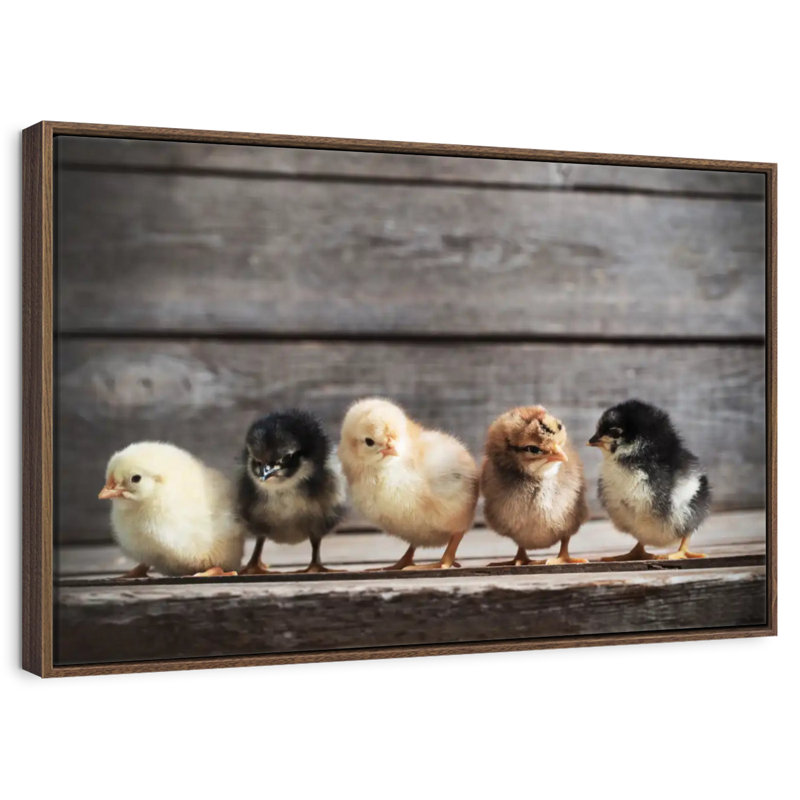 Rangée de poussins, Cadre flottant noyer, 43 po x 29 po