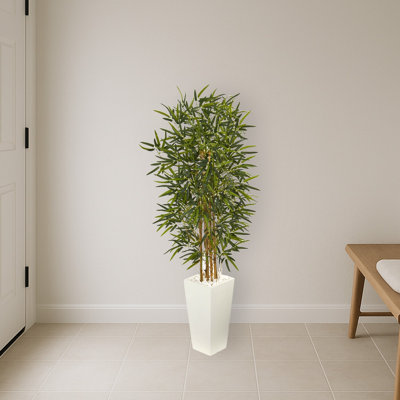 Bamboo Tree in White Tower Planter