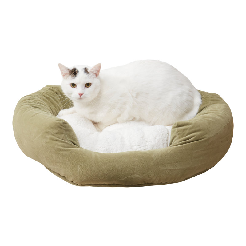 Lit rond pour chat, Mousse