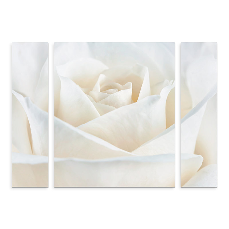 Ensemble de 3 reproductions de photos sur toile tendue « pure White Rose » par Cora Nielli, H 24 po x l 32 po x P 2 po