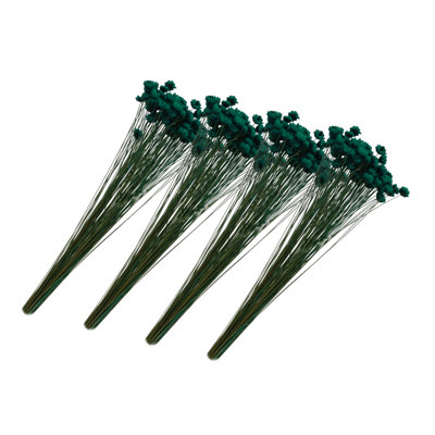 Dried Preserved Little Star Flower - 4PACK