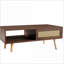 Table basse en noyer PE en rotin avec rangement pour porte coulissante, facile à nettoyer et amp; Pieds robustes en bois massif-163299087