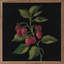 Framboise par Silvia Vassileva-477801961
