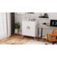 80cm Wide Steel File Cabinet-636038253