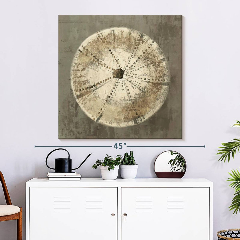 Brampt Sand Dollar I, H 33 po x l 33 po