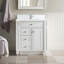 Bristol 30'' W Single Vanity-1799863371-1847095263-1757688709