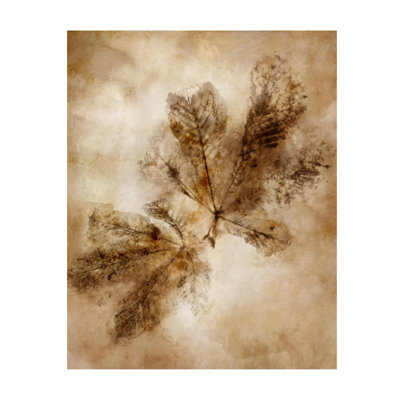 Autumnal Leaves I Print by Mari Urasawa