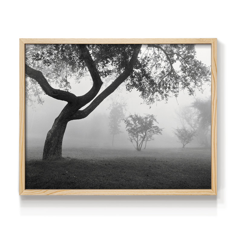 «Into the Mist», impression encadrée, H 22 po x l 28 po, Naturel