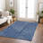 Machine Washable Indoor/Outdoor Chayden ACN1045 Rug-629254211