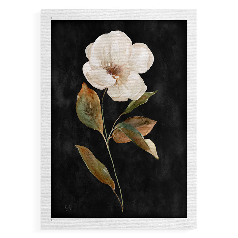 Botanical on Black Wash I - Impression sur toile seulement - NON-CADRE