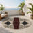Dynastic Dream Indoor And Outdoor Area Rug-1500487113