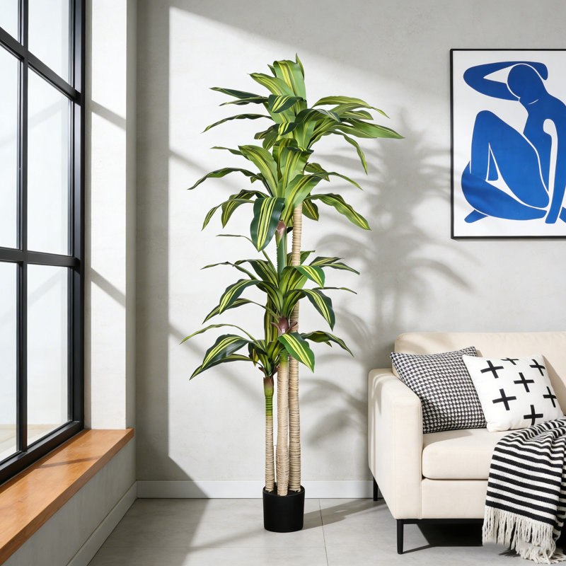 Arbre de Dracaena artificiel 6 pi, plante d'intérieur artificielle avec pot pour la décoration intérieure, 72 po x 33 po