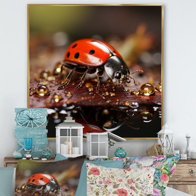 " Lively Ladybug Reflections "