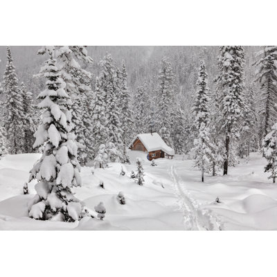 " Cottage Snowy Forest " by Tolstnev