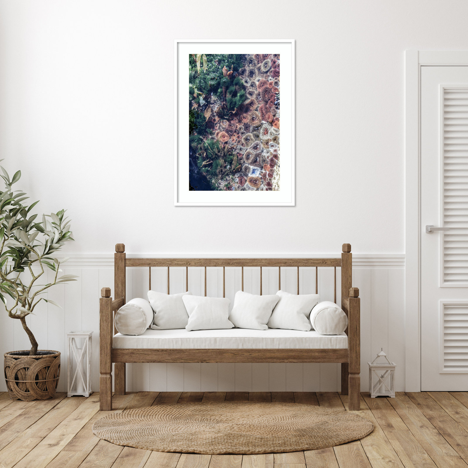 Daisey "Ocean Curiosities" Print, 41" H x 30" W, White
