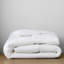 Insert de couette en duvet toutes saisons Terron-87929781