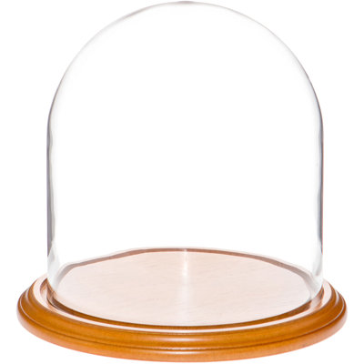 Cloche à dôme en verre 9,75 "x 10" Vucciria