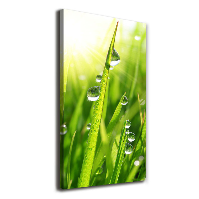 Field Flowers - Wrapped Canvas Print