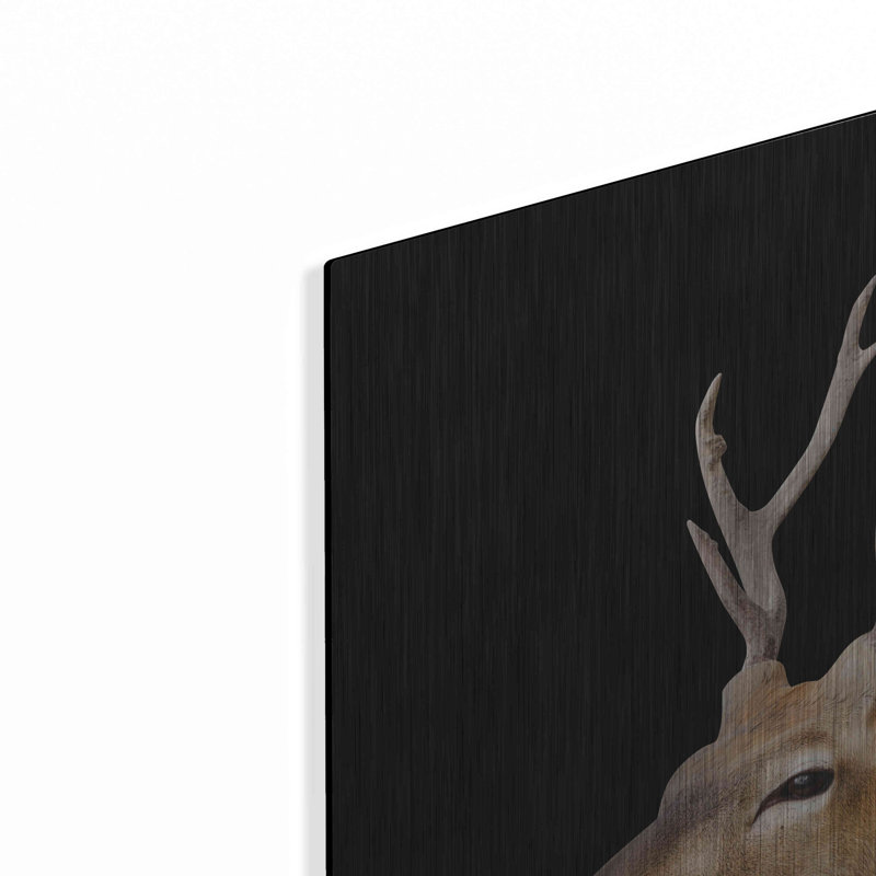 "Sika Deer" par Luxe, H 24 po x l 24 po