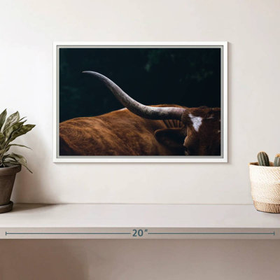 Cow Texas Longhorn