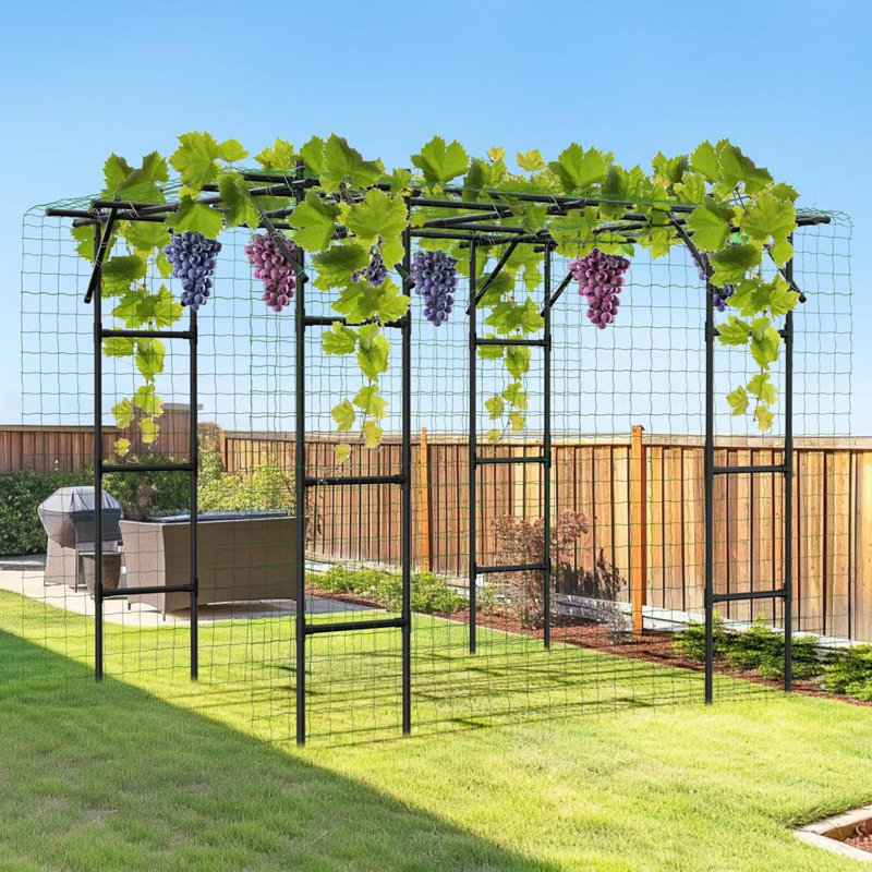 Tall Garden Arch Trellis For Climbing Plants, Large Grape Vine Support Arch Arbour Trellis