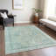 Tapis turquoise intérieur / extérieur lavable à la machine-1696520656
